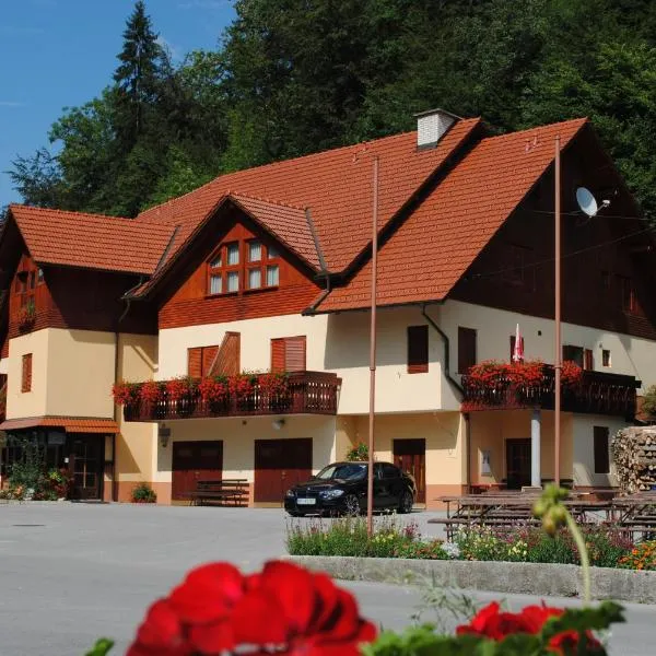 Pri Vidrgarju, hotel in Trojane