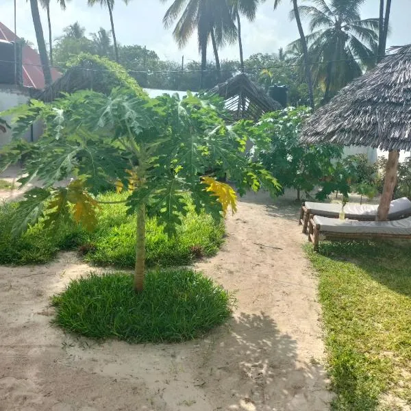 Mambo Leo Hostel, hotel en Paje