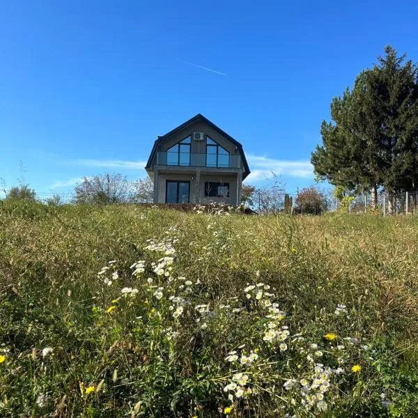 Fruska Gora Villa Medici, hotel en Irig