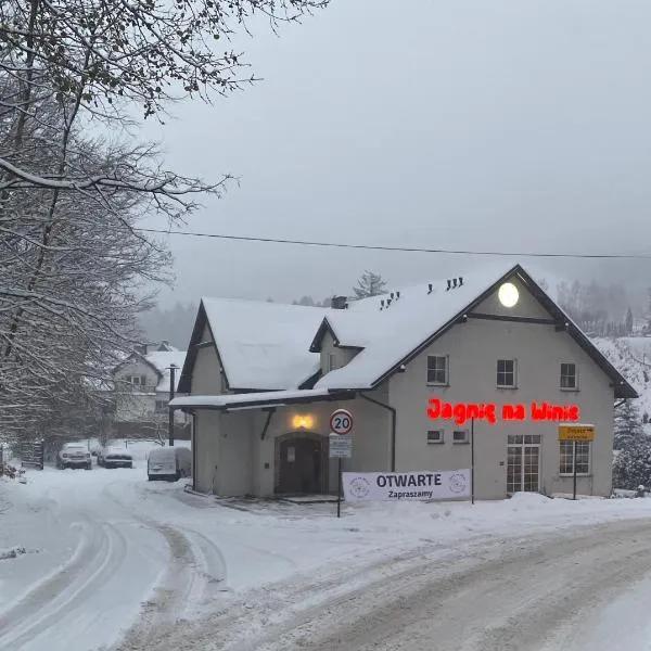 Jagnienawinie, hotel v destinácii Międzybrodzie Żywieckie