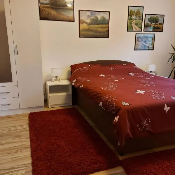 Apartment Skiptar, готель у місті Сремска-Мітровица