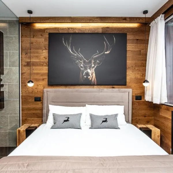 DEER LODGE Mountain view apartment with ski-in access, hotell sihtkohas Breuil-Cervinia
