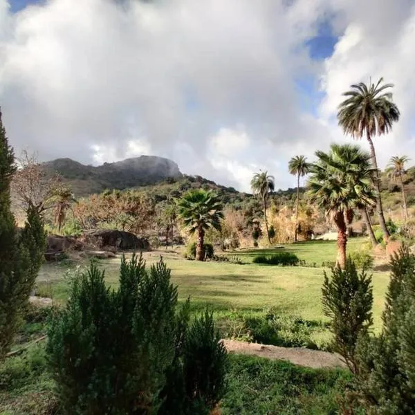 Valley Nest for 6-12 PAX, hotel v destinaci Mount Ábú