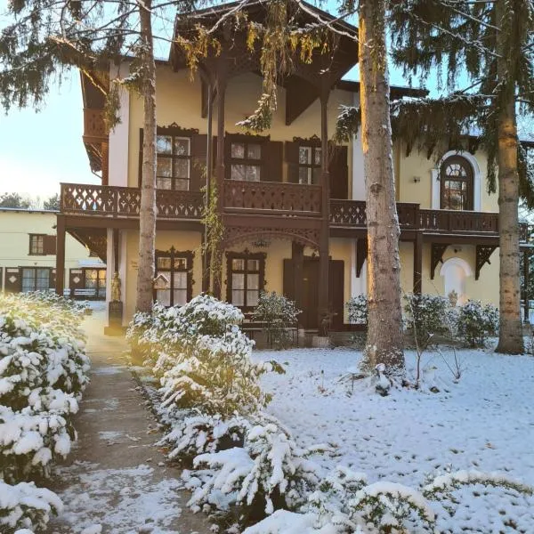 Villa Musik - apartments in historical Villa , Baden，巴登的飯店