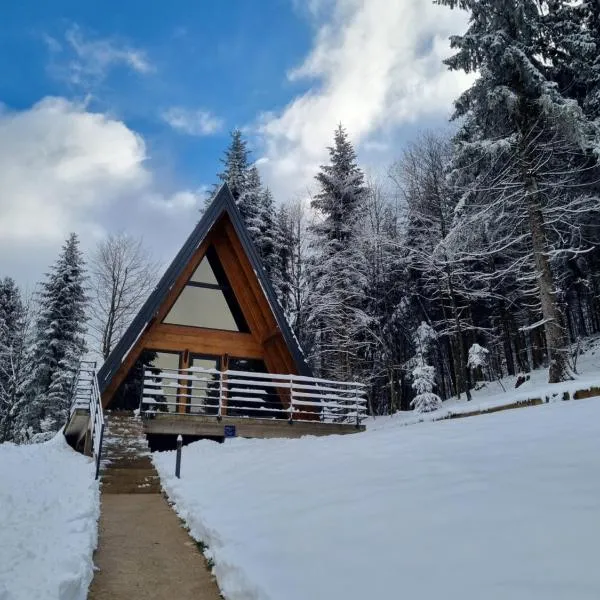 Gorska bajka - Borovica, planinska kuća za odmor i wellness โรงแรมในMoravice