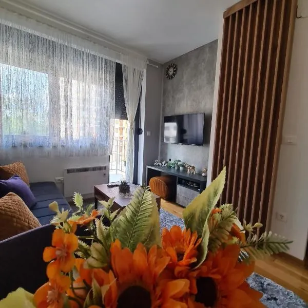 Apartman Rajska dolina Titova vila, Hotel in Palisad