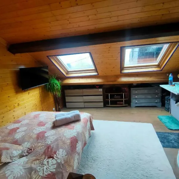 Maison de ski et randonnée, hotel v destinaci Lez