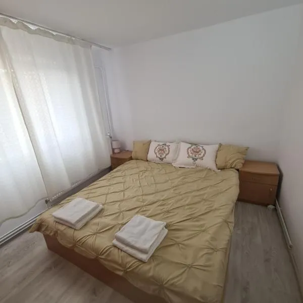 Apartament 2 camere Brazda lui Novac，位于克拉约瓦的酒店