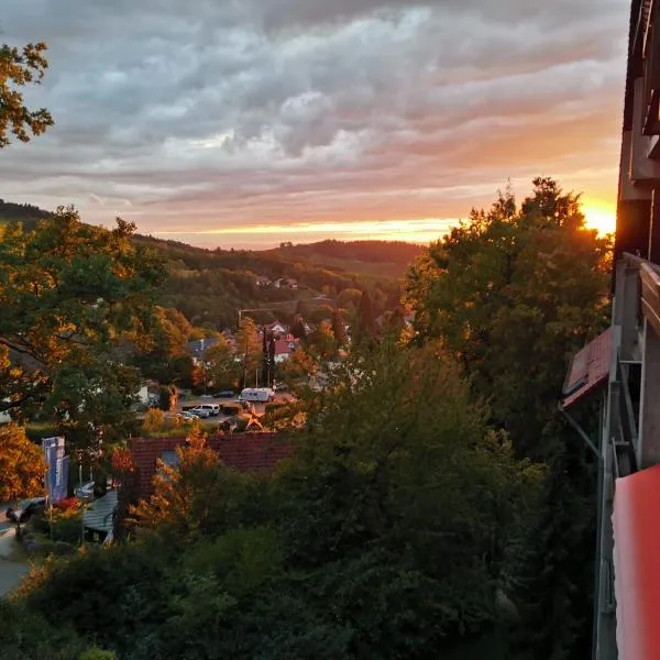 Gaishöll-Wasserfälle Apartment Schwarzwald, hotel di Sasbachwalden