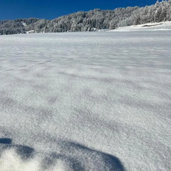 Panorama Appartements, hotel a Egg