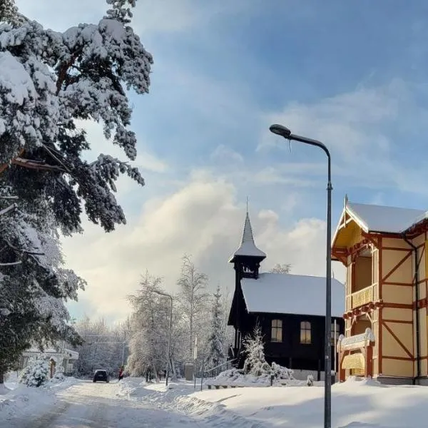 Vila Kollár Vysoké Tatry，上塔特拉山鎮的飯店