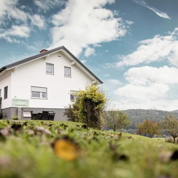 Monis Appartementhaus, Hotel in Unterlamm