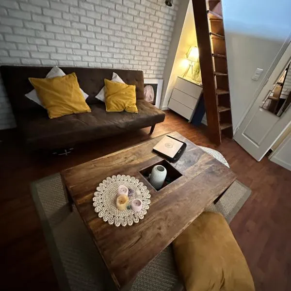 Cozy studio Apartment in Paris