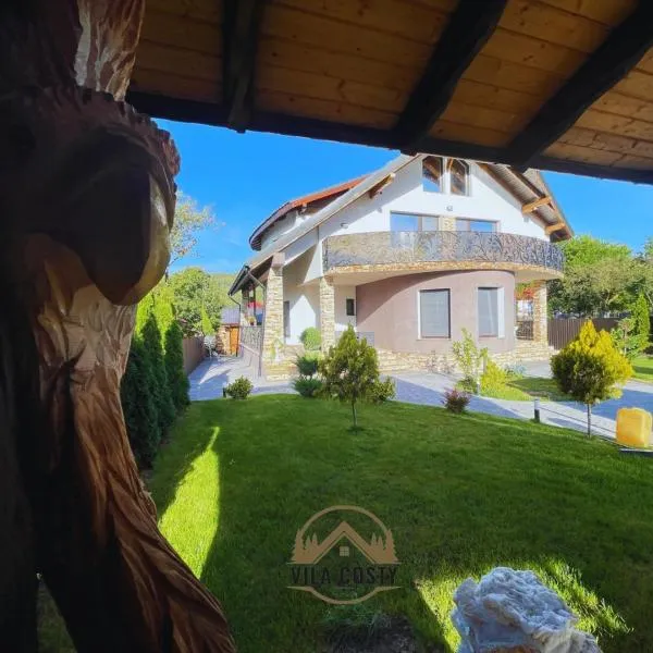 Vila Costi, hotel v destinaci Câmpina