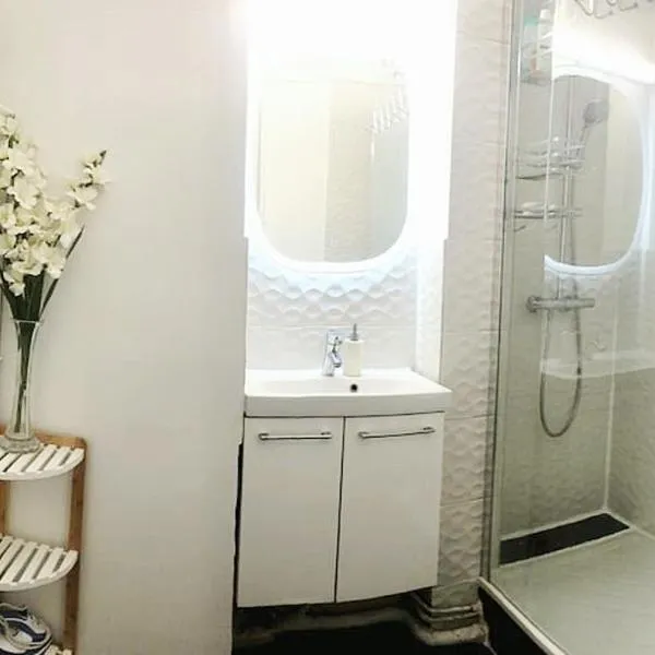 Big apartment 10 minuits from Notre Dame de Paris, hotel a Choisy-le-Roi