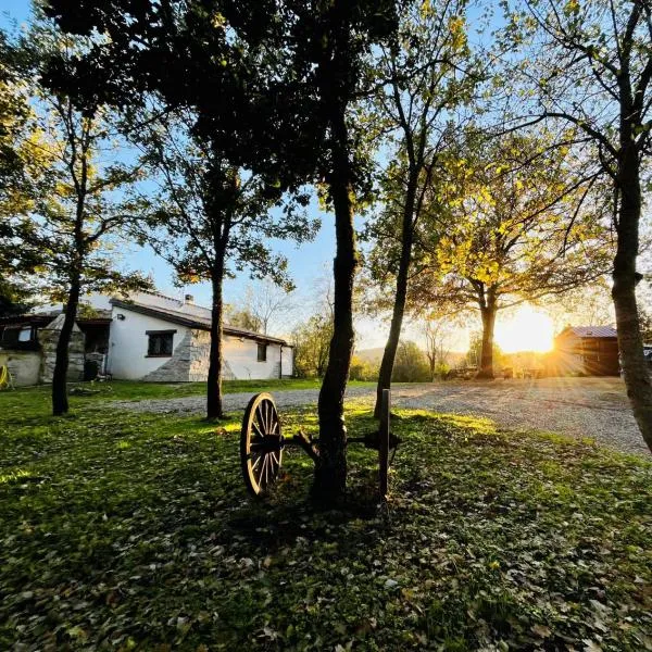 Ovostolai Cottage, hotell i Fonni