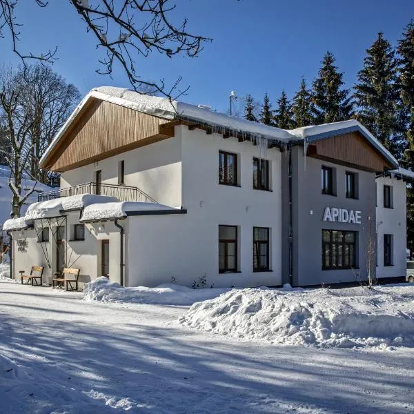 Penzion Apidae, hotel en Deštné v Orlických horách