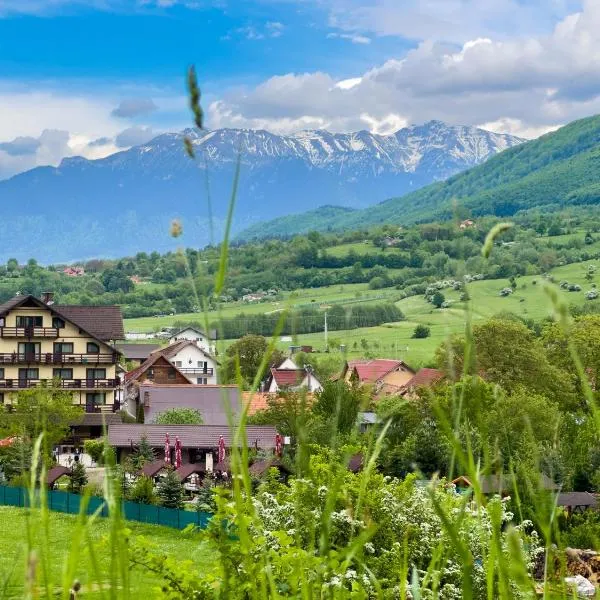 Vila Hora cu Brazi, hotel en Zărneşti