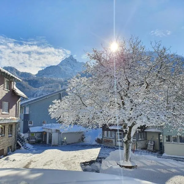 Seminarhotel Lihn, hotel en Filzbach