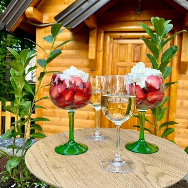 Vila Šibovi, hotel v destinaci Banja Luka