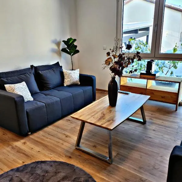Lions Place Premium Apartments COMFORT optionaler Zugang zum SPA- Bereich, hotel in Heidenheim