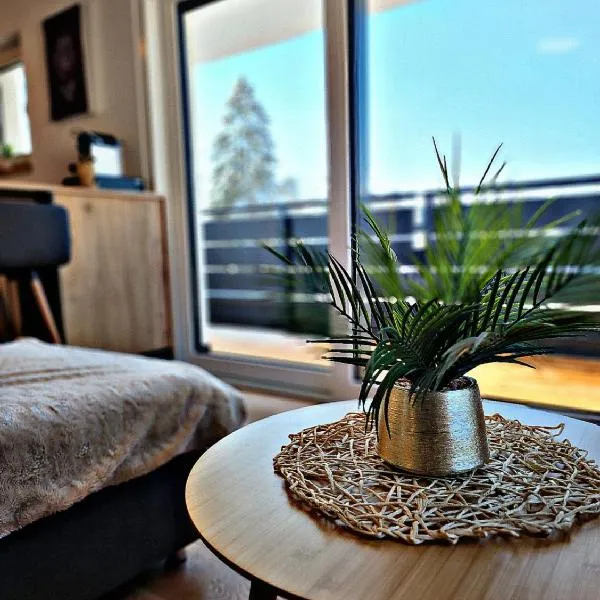 Lions Place Premium Apartments EXECUTIVE Luxus PENTHOUSE inklusive SPA, hotel in Heidenheim