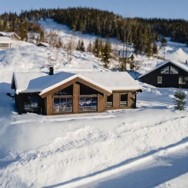 Moderne ski-in & ski-out hytte i Valdres, Norge - alt inkludert for ditt fjelleventyr, hotel di Aurdal