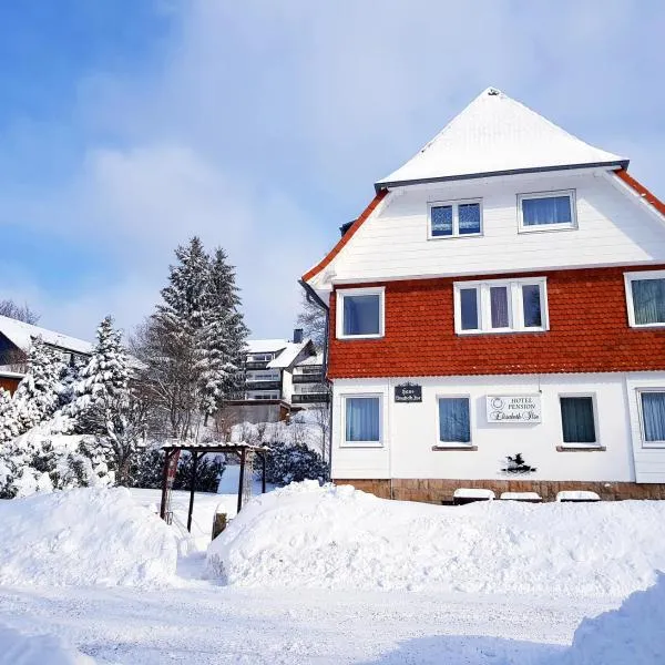 Hotel Elisabeth Ilse, hotel v mestu Braunlage