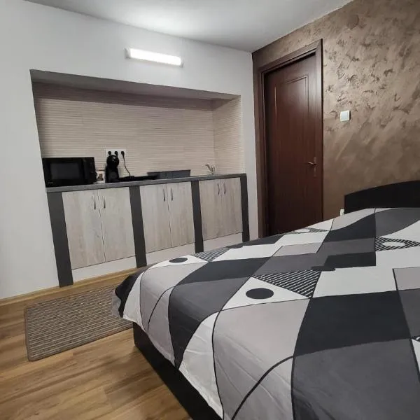 Casa D, hotel v destinaci Topliţa