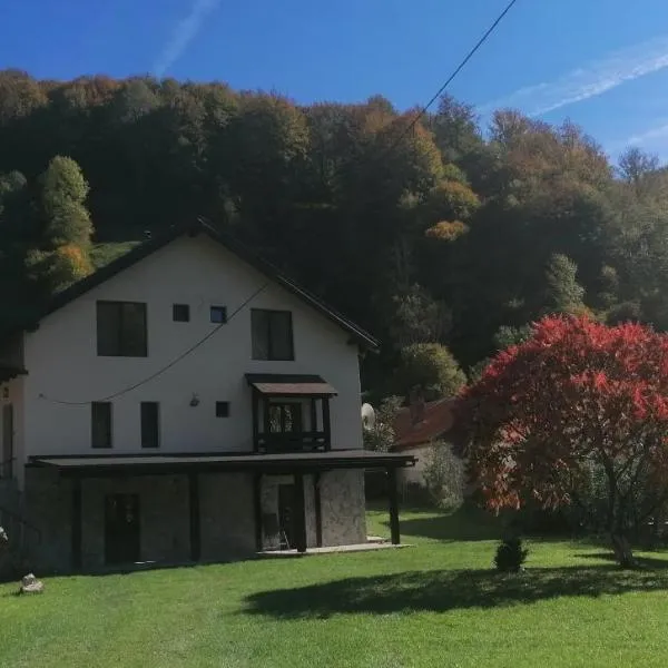 Casa de vacanță Edya、ペトロシャニのホテル