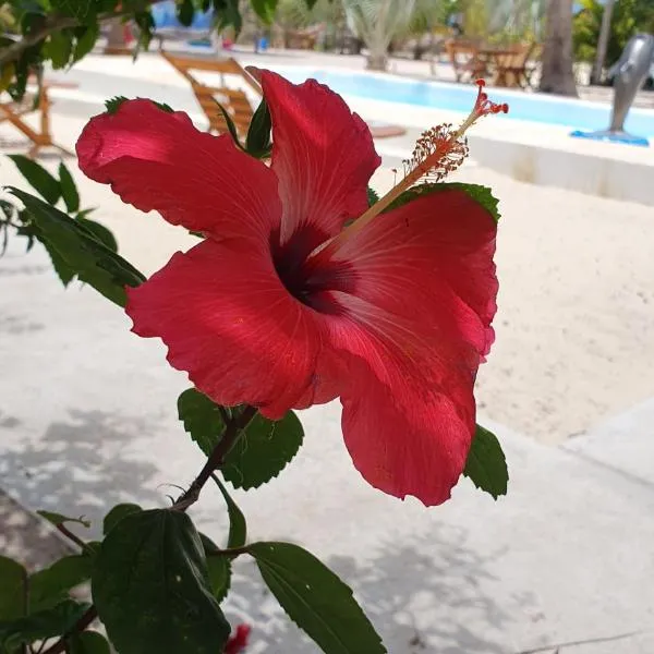 Pousada Unidos, hotel v destinaci Jijoca de Jericoacoara