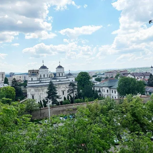 Central Apartments' Privat-Sauna free Parking AmurResidence FamilyConcept, Hotel in Iaşi