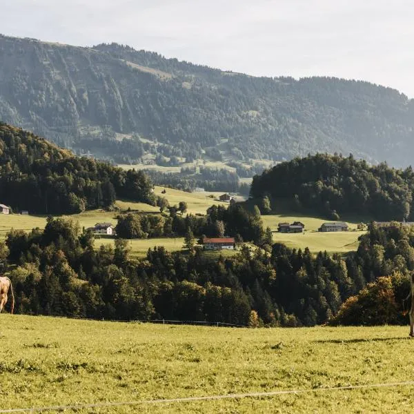 Hotel Gasthof Wälderhof, hôtel à Krumbach