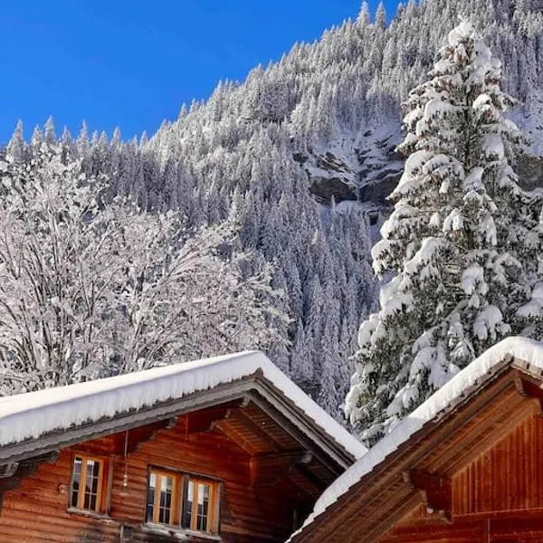 Wesley House, hotel Kanderstegben