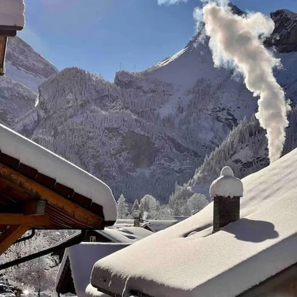 Alpine Chalet, hotel in Kandersteg