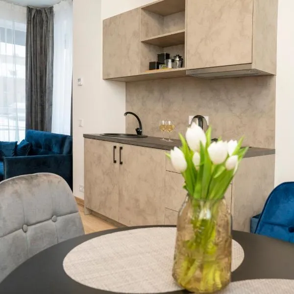 Central Station Apartment No4, hotel in Kaunas