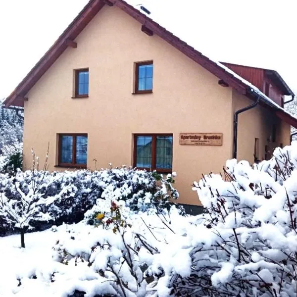 Apartment Brusinka, hotel i Kašperské Hory