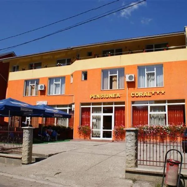 Pension Coral, hotell sihtkohas Baia Mare