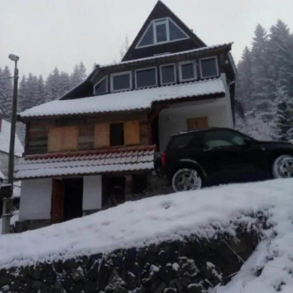 KopanikSkiRooms15E, hotel v destinaci Kopaonik