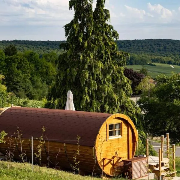 Expérience insolite : tonneau merveilleux, hotel em Cormoyeux