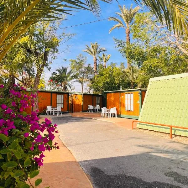 Camping Las Palmeras, hotel in Albatera