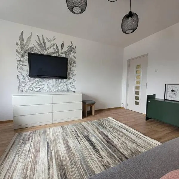 Spacious & Fresh Apartment, Hotel in Sfântu Gheorghe