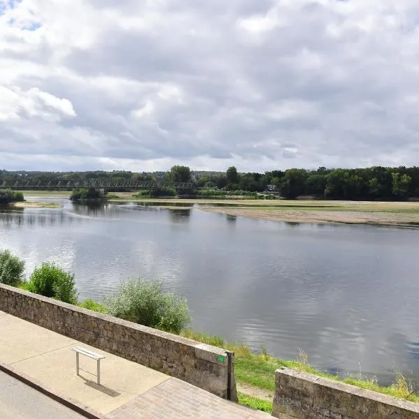 Les sternes de st Mathurin sur Loire , vue Loire, hotel en Saint-Mathurin