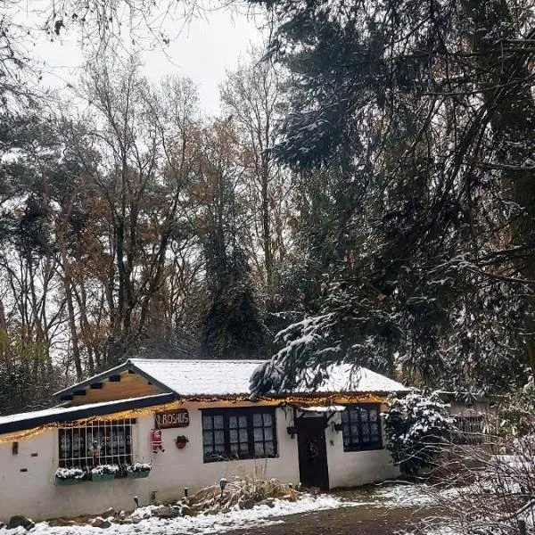 'T boshuisje, Hotel in Oudsbergen 