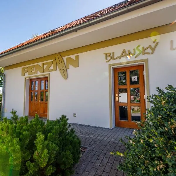 Penzion Blanský Les, hotel en Holašovice