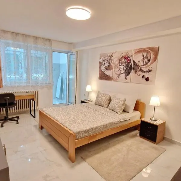 Apartman Laki, hotel v destinaci Tošin Bunar