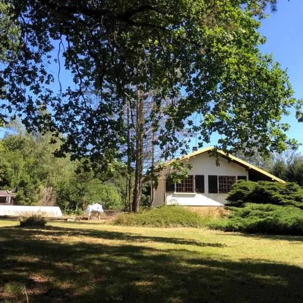 Au p’tit paradis, ξενοδοχείο σε Fresse