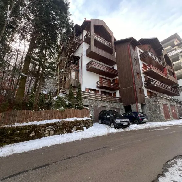 Vista Verde Apartment, hotel a Sinaia