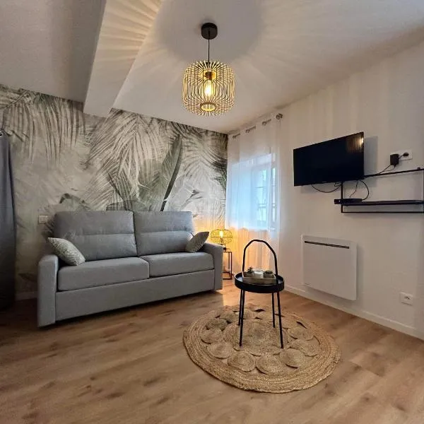 Studio en centre ville + wifi, hotel a Labruguière