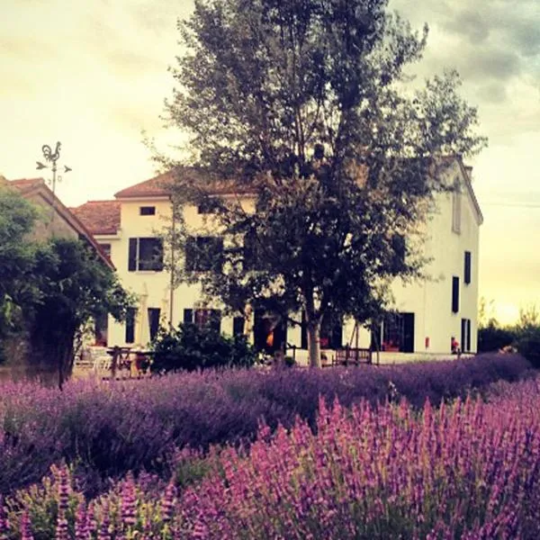 Agriturismo Viridarium, hotel v destinácii Castellucchio